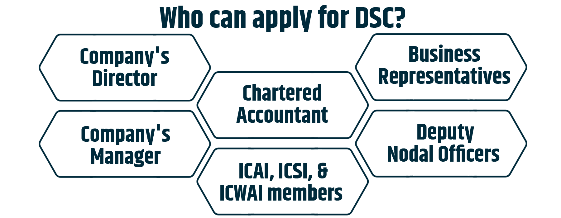 a list individual entites that are allowed to apply for dsc registration